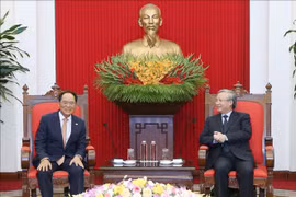 越南与韩国促进新形势下的关系 