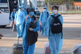 20日越南无新增新冠肺炎确诊病例