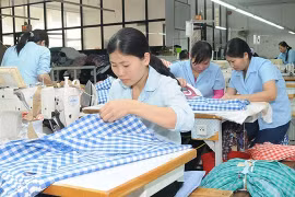 对EVFTA“高速公路”寄予厚望