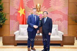 越南国会副主席杜伯巳会见美国军事委员会代表团