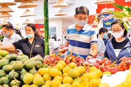 河内市努力实现经济复苏： 加强生产经营活动（一）