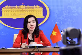 未报告越南驻外代表机构干部人员患有新冠肺炎