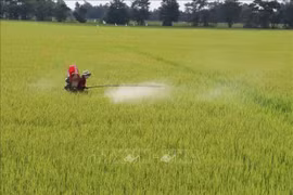 越南农业力争进入世界农业发达国家前15行列