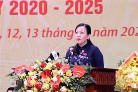 迎接党的十三大：阮青海同志和潘越强同志再次当选太原省委书记和广南省委书记