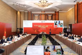 柬埔寨、老挝、缅甸与越南努力应对新冠肺炎疫情实现疫后复苏