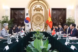 越南政府副总理兼外长范平明同韩国外长举行会谈