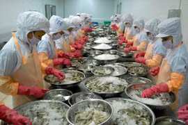 树立起越南虾类品牌形象
