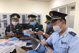 安江省破获一起口罩走私柬埔寨案