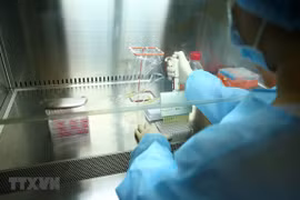 卫生部部长阮青龙：2022年第二季度越南方可广泛提供新冠肺炎疫苗