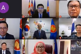 东盟-韩国联合合作委员会会议以视频形式举行