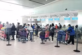 新冠肺炎疫情：滞留在阿联酋和科威特的近280名越南公民安全回国