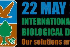越南举行各项活动响应2020年国际生物多样性日 