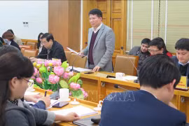 新型冠状病毒感染肺炎疫情：越南卫生部视察老街省疫情防控工作