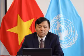 联合国安理会首次讨论新冠肺炎疫情：越南呼吁优先援助受影响的国家