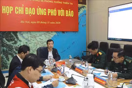 越南各部委和地方政府主动应对台风轮番来袭局势