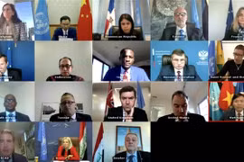 越南与联合国安理会：越南呼吁国际社会兑现对伊拉克援助的承诺