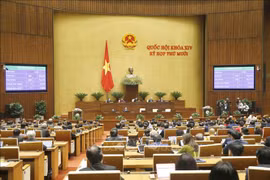 越通社简讯2020.11.17