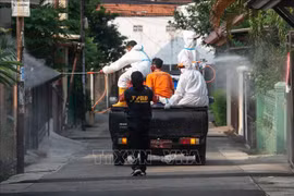 新冠肺炎疫情：东南亚国家单日新增新冠确诊病例达数千例