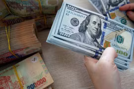 28日越盾对美元汇率中间价下调5越盾