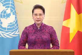 越南国会主席阮氏金银在纪念第四次世界妇女大会25周年高级别会议上通过视频发表讲话