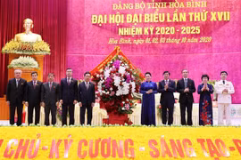 迎接党的十三大：国会主席阮氏金银出席越共和平省第十七次代表大会