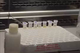 越南卫生部：暂停出口各类抗新冠病毒药物
