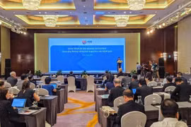 2020东盟年：将湄公河次区域互联互通纳入东盟发展项目计划中