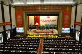 迎接越共十三大：充分发挥中央机关党委的政治核心地位