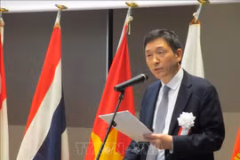 越南加入东盟25周年：越南做出的努力为促进本地区互信与合作做出重要贡献