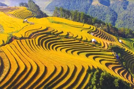 越南旅游：令人沉醉的木江界梯田