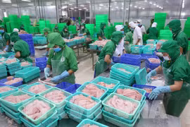 查鱼企业想方设法渡过难关
