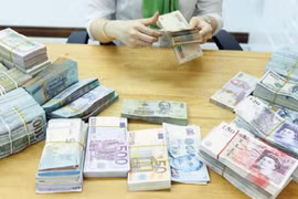 越南侨汇收入形势喜人