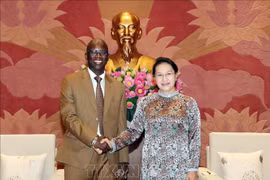 国会主席阮氏金银会见世界银行驻越代表处首席代表奥斯曼·迪奥