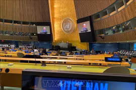 法国驻联合国大使：越南成功将东盟与联合国安理会联系起来