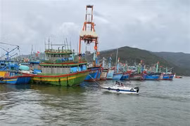 ASEAN 2020: 第十届东盟海洋论坛召开