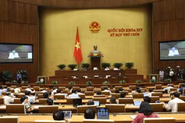 国会表决通过四部法律并对两部法律草案提出意见