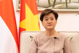 新加坡驻越大使：民众对2020年底签署RCEP充满期待