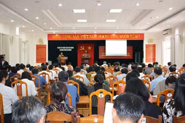 岘港市为党的各级代表大会做好准备 力争6月15日前顺利进行
