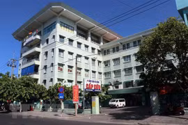 旅居意大利越南侨胞携手帮助岘港医院应对新冠肺炎疫情