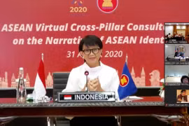 关于建立东盟身份认同的视频会议召开