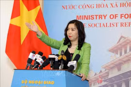 外交部例行记者会：暂时不执行各商业包机航班