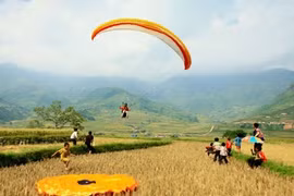 塑造越南旅游品牌的征程：越南旅游征服越南游客