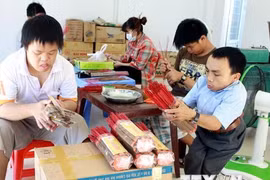 金瓯省积极落实国家对橙剂受害者的优抚政策