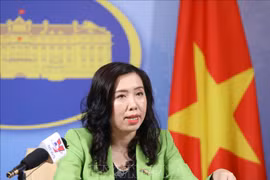 越南一直有效发挥东盟轮值主席国的作用