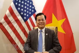 越南驻美国大使馆促进公民保护工作和越美新冠肺炎防控的合作