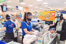 胡志明市采取多项措施实现双重目标