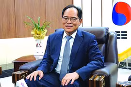 韩国驻越南大使：越韩必将"风雨过后见太阳"