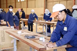 嘉莱省吸引私营经济和外国直接投资