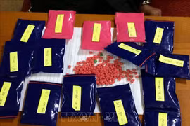 乂安省：抓获一名私藏3000粒合成毒品嫌疑人 