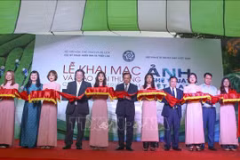  2020年越南艺术摄影大赛结果出炉